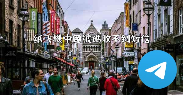 纸飞機中國號碼收不到短信