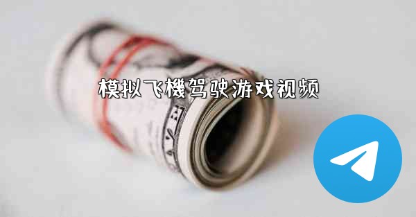 模拟飞機驾驶游戏视频