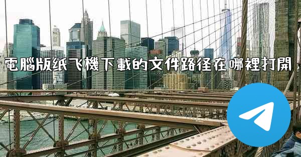 電腦版纸飞機下載的文件路径在哪裡打開