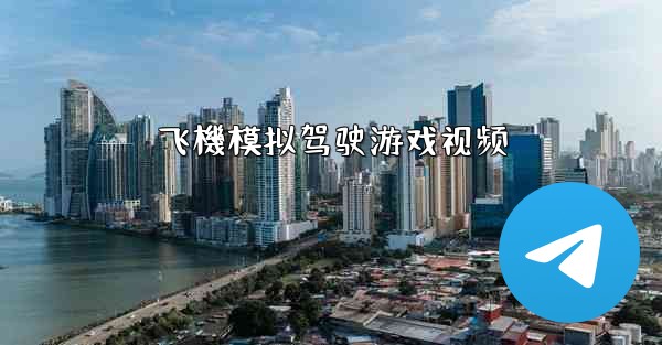 飞機模拟驾驶游戏视频