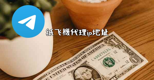 纸飞機代理ip地址