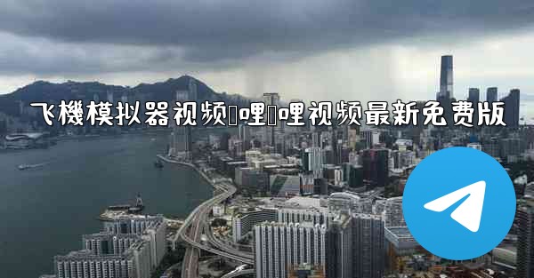 飞機模拟器视频哔哩哔哩视频最新免费版