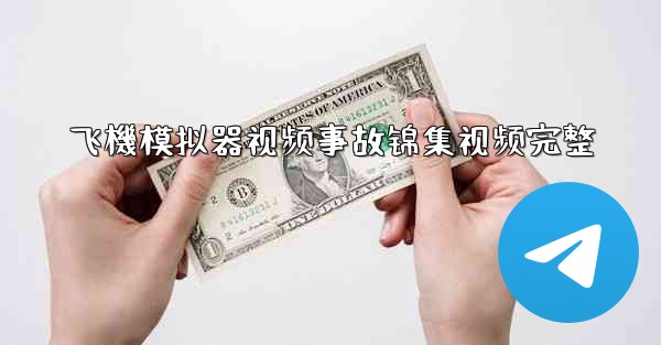 飞機模拟器视频事故锦集视频完整