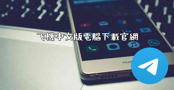 飞機中文版電腦下載官網