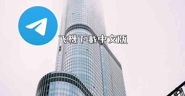 飞機下載中文版