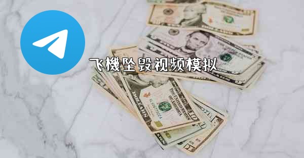 飞機坠毁视频模拟