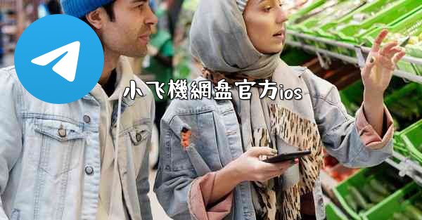 小飞機網盘官方ios