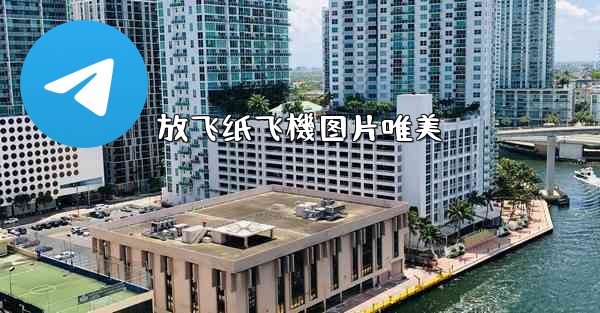 放飞纸飞機图片唯美