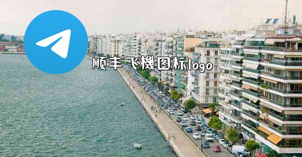 顺丰飞機图标logo