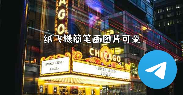 纸飞機簡笔画图片可爱