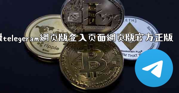 纸飞機telegeram網页版登入页面網页版官方正版