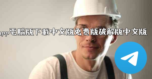 纸飞機app電腦版下載中文版免费版破解版中文版