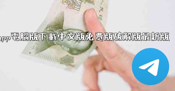 纸飞機app電腦版下載中文版免费版破解版最新版