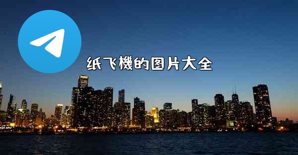 纸飞機的图片大全