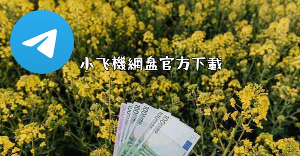 小飞機網盘官方下載