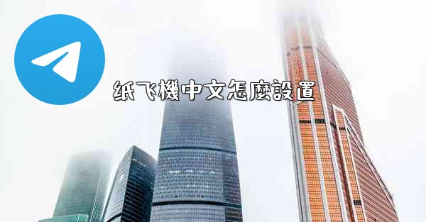 纸飞機中文怎麼設置