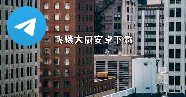 飞機大厨安卓下載