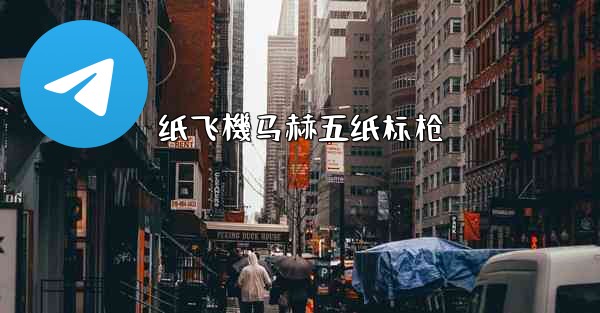 纸飞機马赫五纸标枪