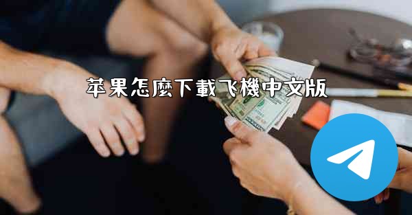 苹果怎麼下載飞機中文版