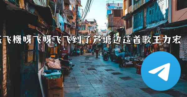 我的纸飞機呀飞呀飞飞到了芦塘边這首歌王力宏