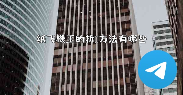 纸飞機王的折叠方法有哪些