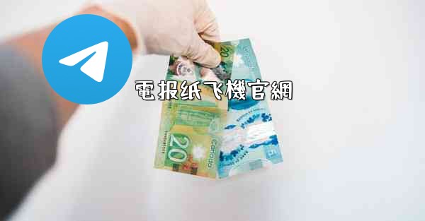 電报纸飞機官網