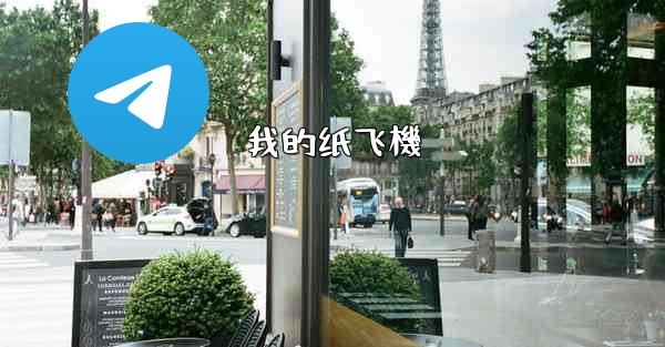 我的纸飞機