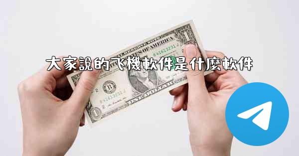 大家說的飞機軟件是什麼軟件