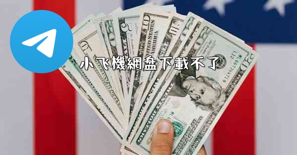 小飞機網盘下載不了