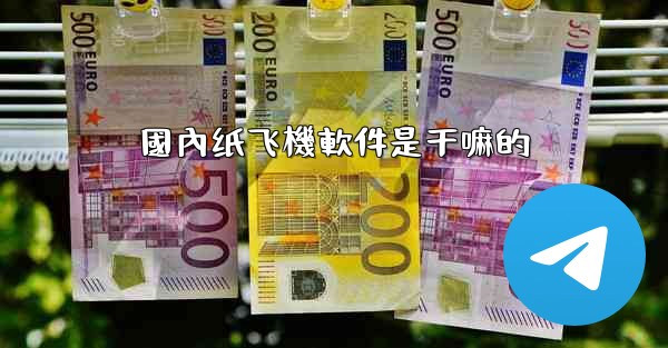 國內纸飞機軟件是干嘛的