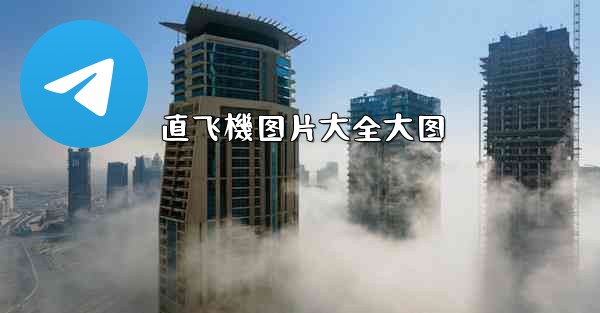 直飞機图片大全大图