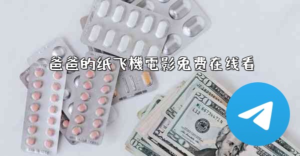 爸爸的纸飞機電影免费在线看