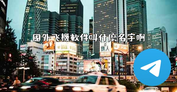 國外飞機軟件叫什麼名字啊