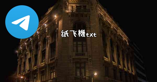 纸飞機txt