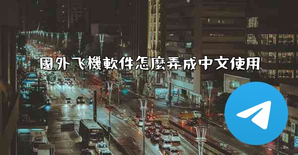 國外飞機軟件怎麼弄成中文使用