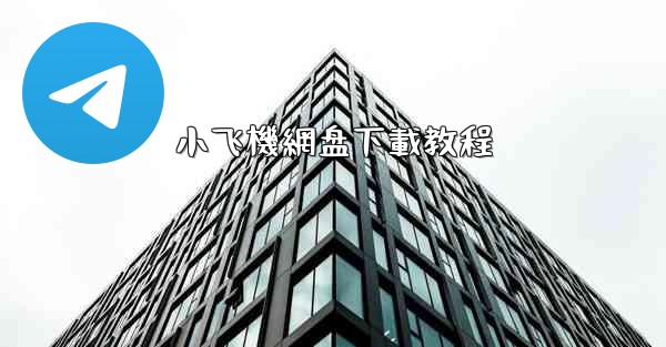 小飞機網盘下載教程