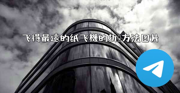 飞得最遠的纸飞機的折叠方法图片