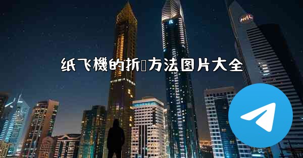 纸飞機的折叠方法图片大全