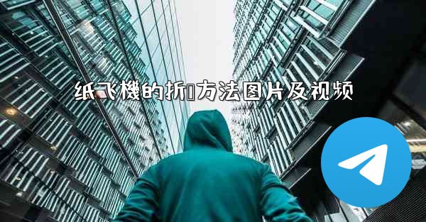 纸飞機的折叠方法图片及视频