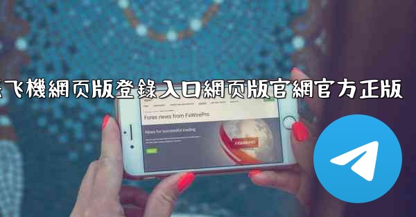 纸飞機網页版登錄入口網页版官網官方正版