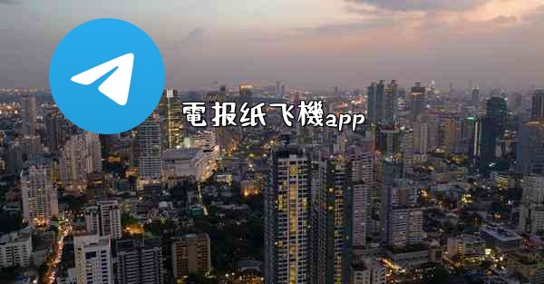 電报纸飞機app