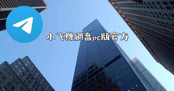 小飞機網盘pc版官方
