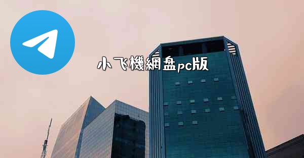 小飞機網盘pc版