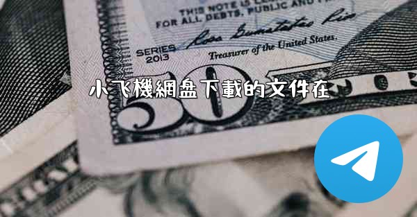 小飞機網盘下載的文件在