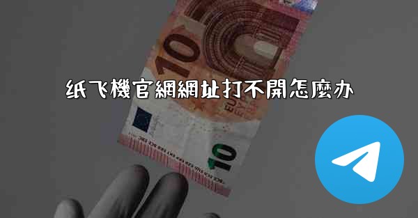 纸飞機官網網址打不開怎麼办