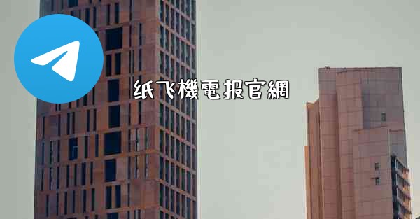 纸飞機電报官網