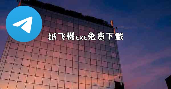 纸飞機txt免费下載