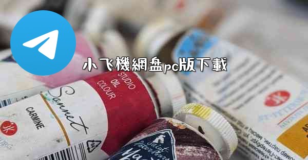 小飞機網盘pc版下載