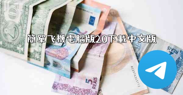 簡單飞機電腦版20下載中文版