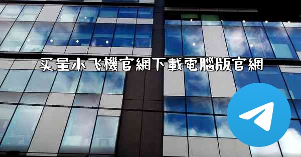 买量小飞機官網下載電腦版官網